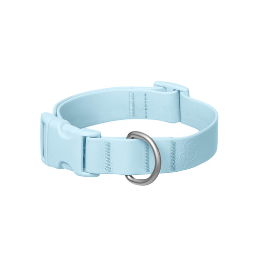 Dog Collar - Sky Blue banner