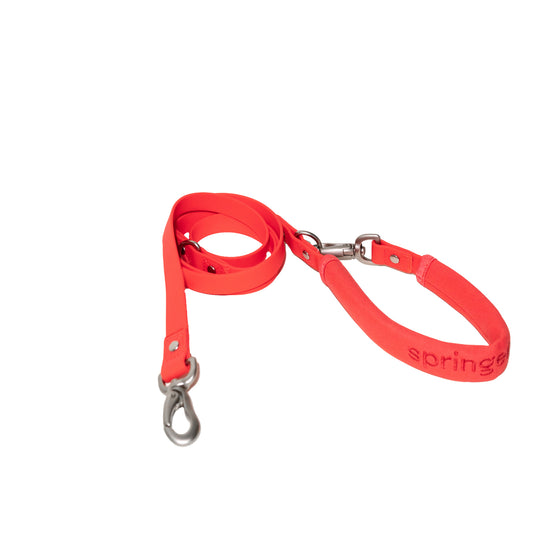 Dog Leash - Poppy banner