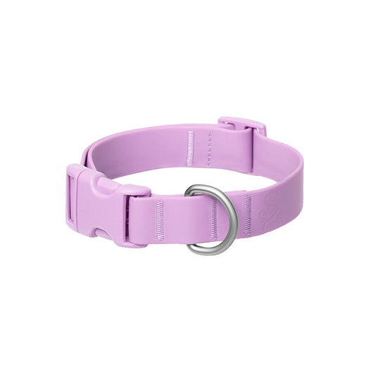 Dog Collar - Lilac banner