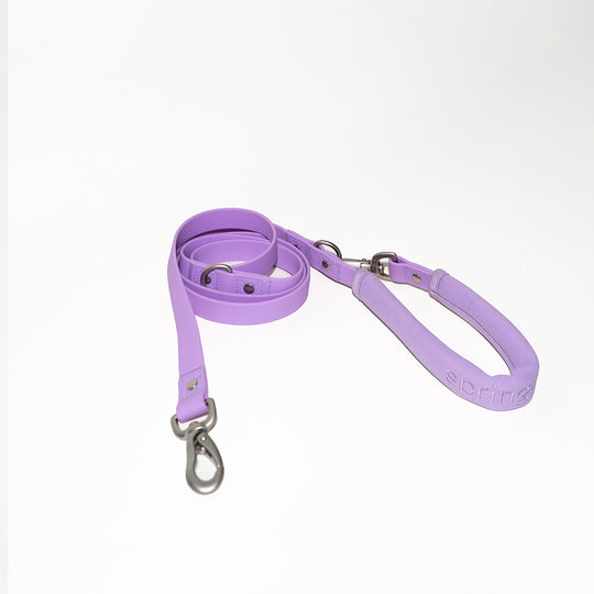 Dog Leash - Lilac banner