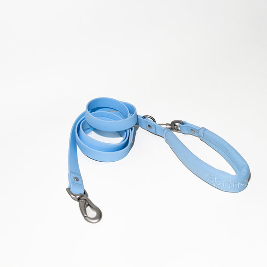 Dog Leash - Sky Blue - Small (4ft) banner